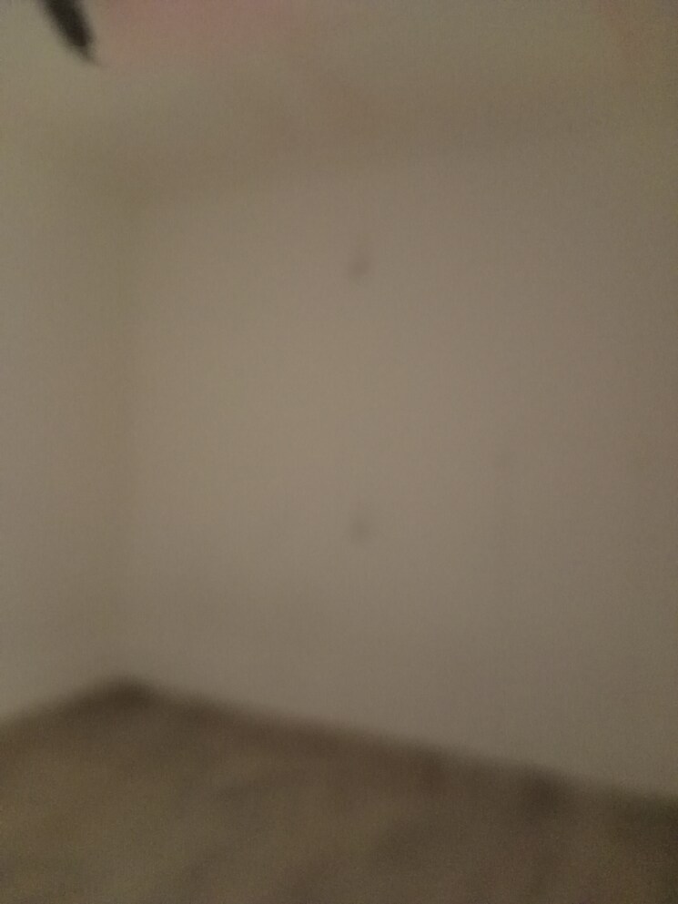 Room, model town 2 Bedroom 1052 Sq.Ft. Builder Floor In Model Town Panipat 9347374