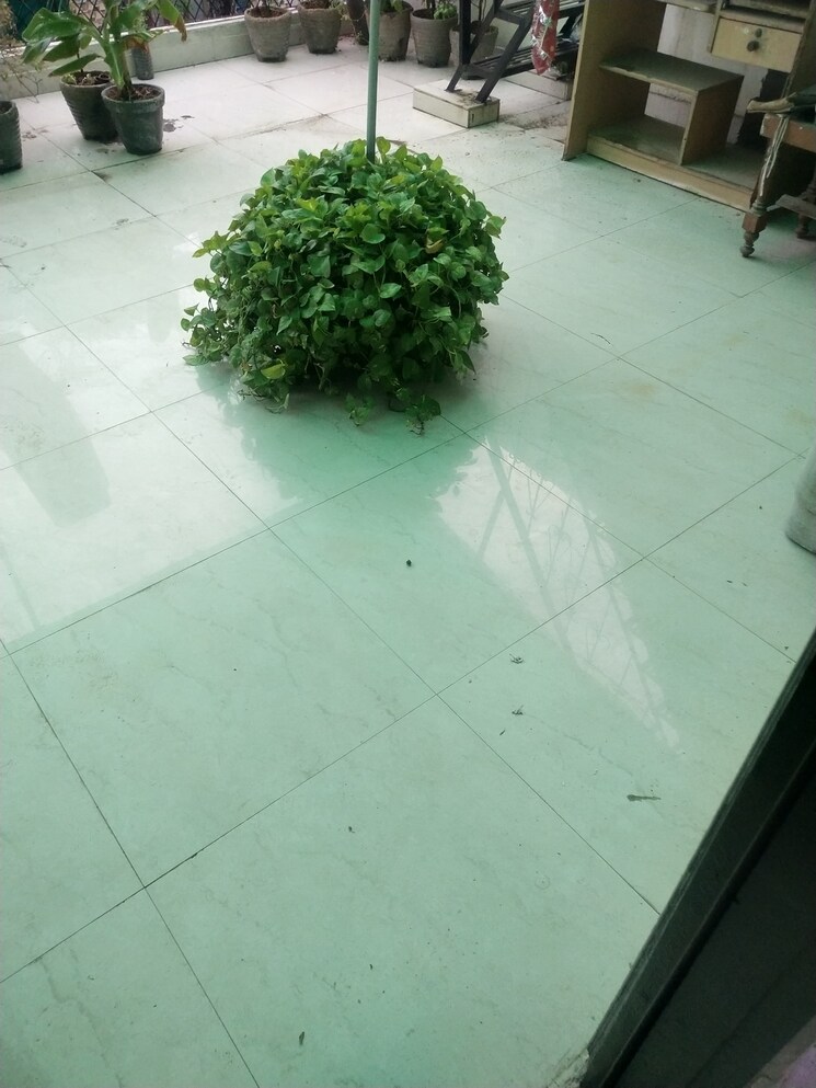 Balcony, rwa-apartments-sector-41 1 Bedroom 450 Sq.Ft. Builder Floor In Sector 41 Noida 9347409