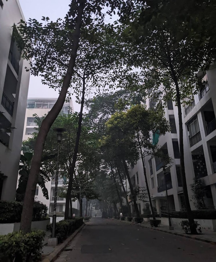 Exterior View, vatika-city 3 Bedroom 2134 Sq.Ft. Apartment In Sector 49 Gurgaon 9347451