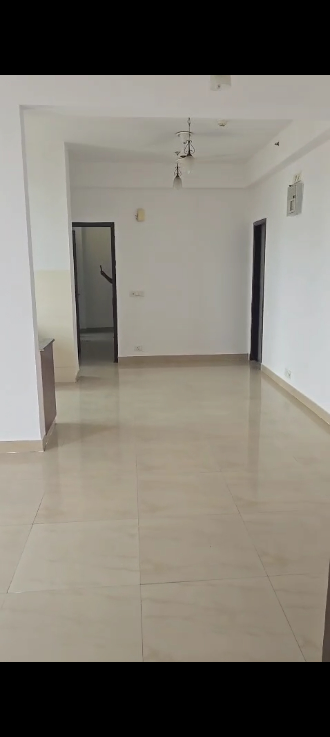 3 BHK Apartment For Sale in Ashiana Palm Court