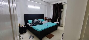 2 BHK Apartment For Rent in Tulip Lemon, Sector 69