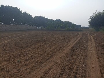 Plot Area in  Land at Sohna – for Sale