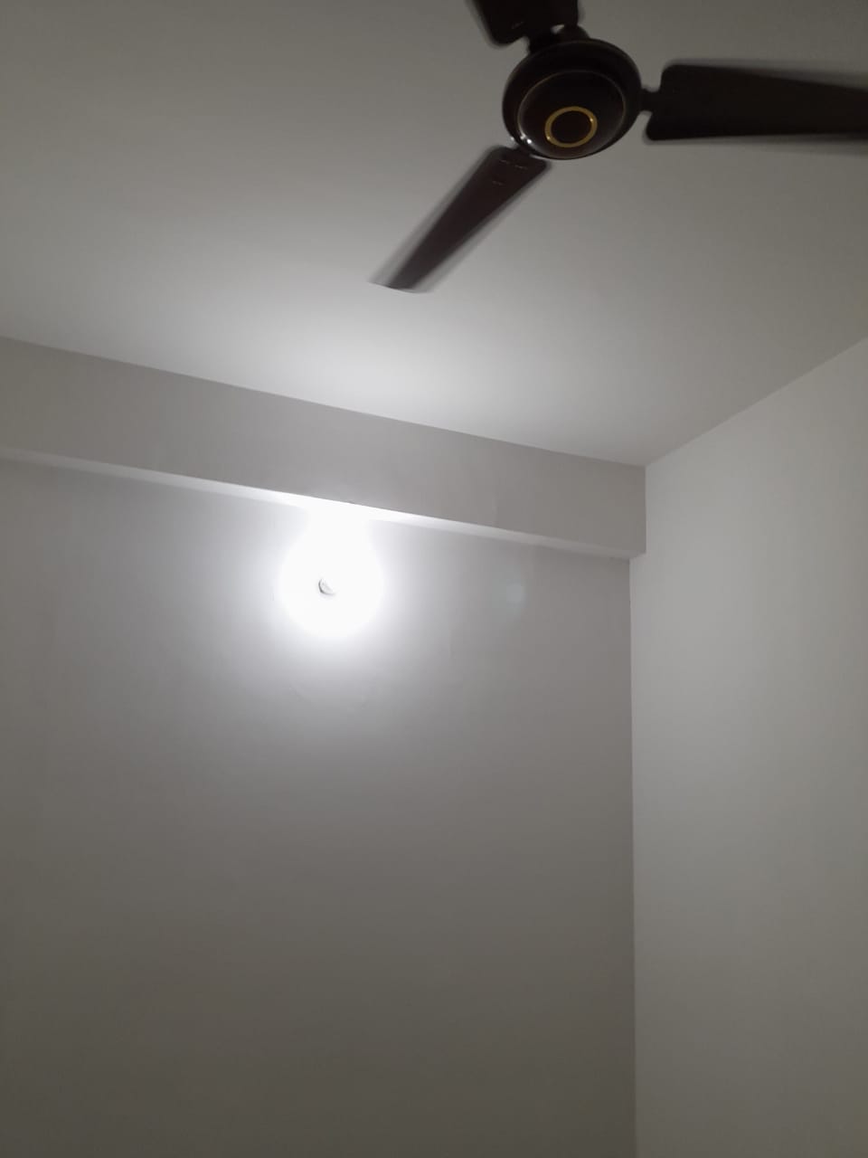 1 BHK Apartment For Rent in Signature Global Solera 2