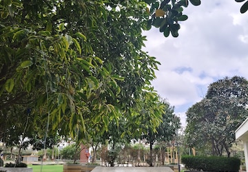 3 BHK Apartment For Rent in My Home Mangala, Kondapur