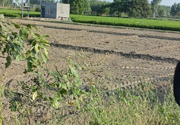 Industrial Plot For Sale in Samalkha