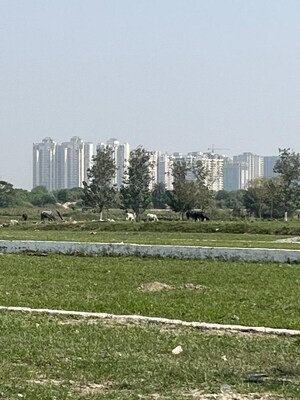  Plot For Sale in Symbolic Home, Sector 80