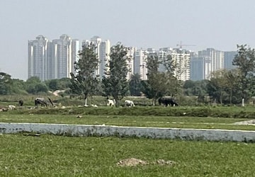 Plot For Sale in Symbolic Home, Sector 80