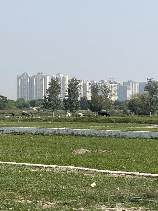 Plot For Sale in Symbolic Home