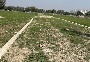Plot Area in  Plot at Symbolic Home, Sector 80 – for Sale
