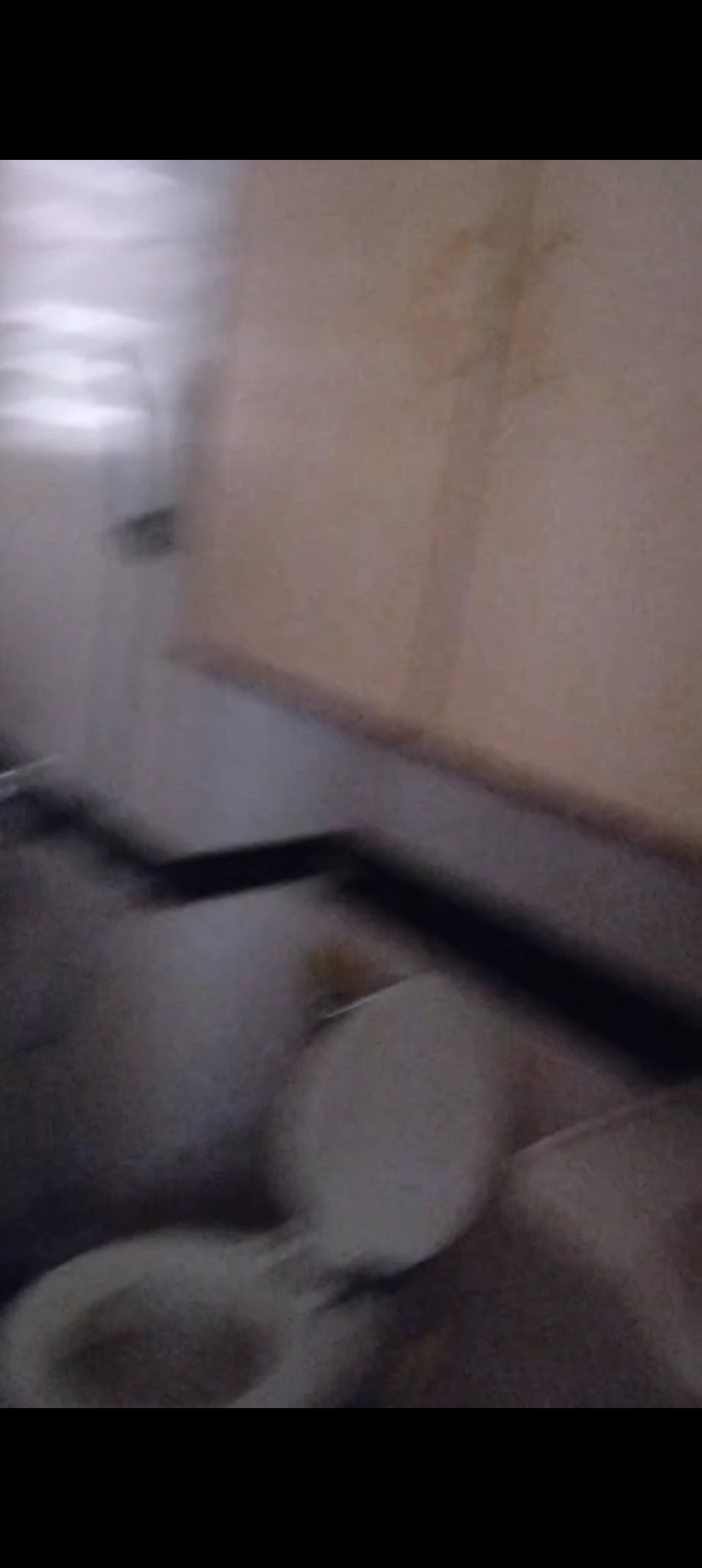 2 BHK Apartment For Rent in Ackruti Niharika