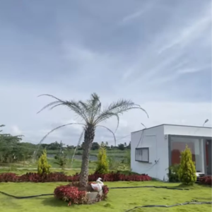  Plot – Exterior View View at Chikkaballapur - for Sale