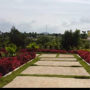  Plot – Garden View at Chikkaballapur - for Sale