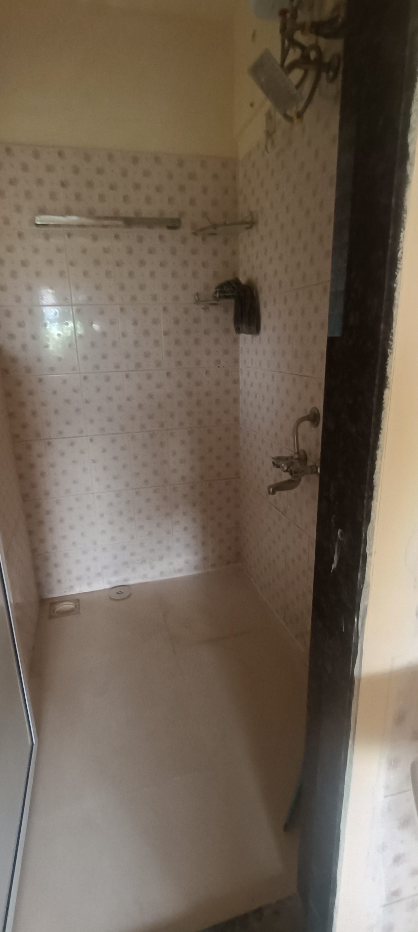 1 BHK Apartment For Rent in Green Hills