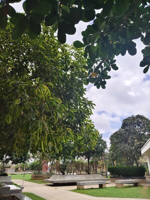 2 BHK Apartment For Rent in Rajapushpa Provincia, Narsingi