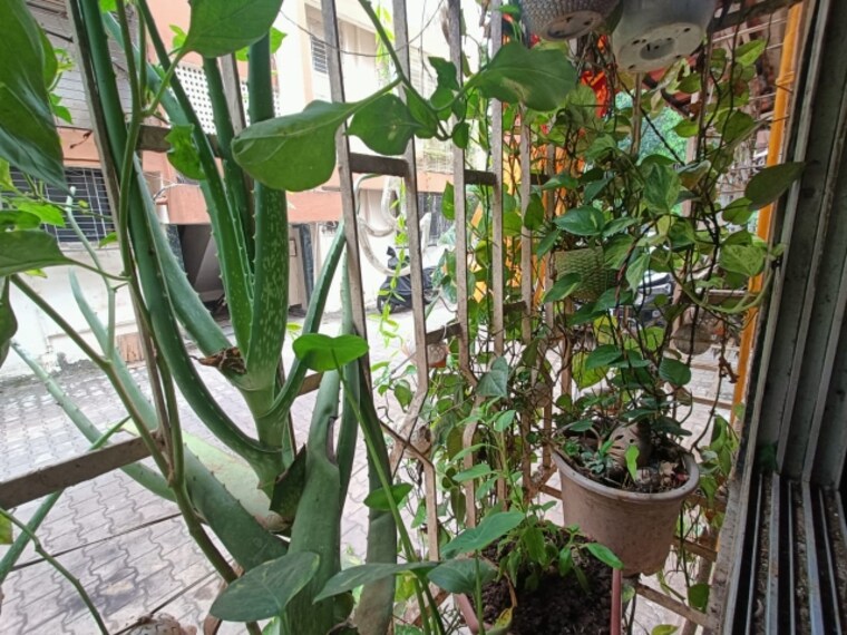 Balcony, mahakali-model-town 1 RK 350 Sq.Ft. Apartment In Jogeshwari East Mumbai 9348375