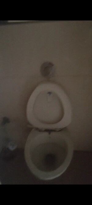 Bathroom in 3 BHK Apartment at Green Acres Apartment, Waghbil – for Rent