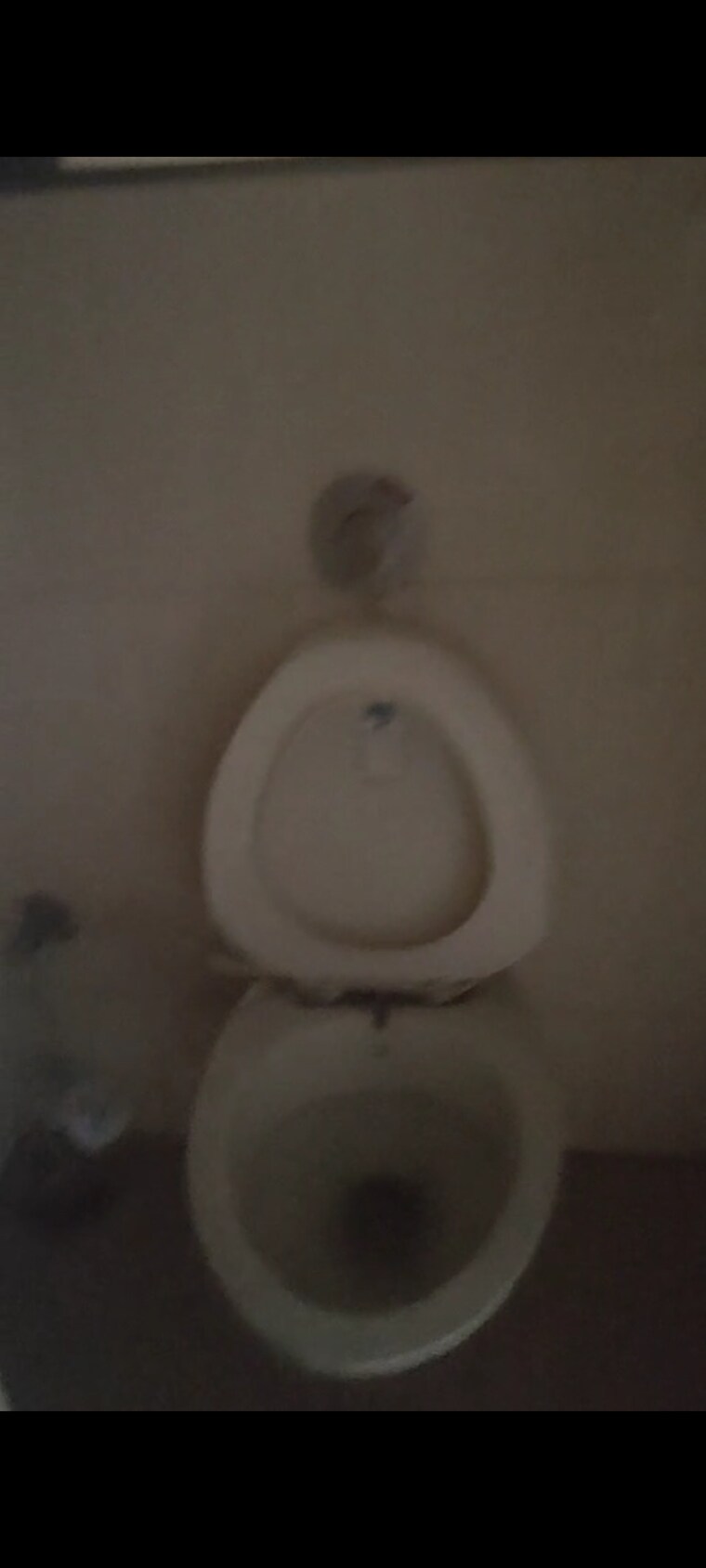 Bathroom, green-acres-apartment 3 Bedroom 1065 Sq.Ft. Apartment In Waghbil Thane 9348361