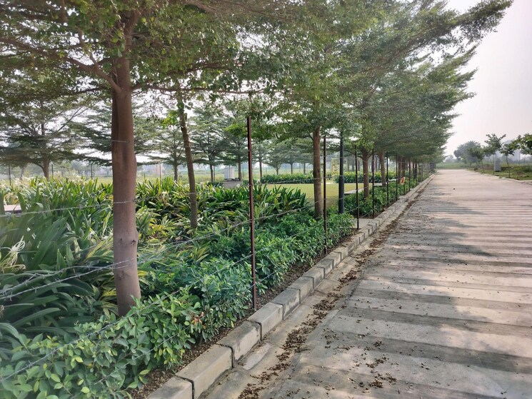 Exterior View, pintail-park-city  3507 Sq.Ft. Plot In Mastemau Lucknow 9348516