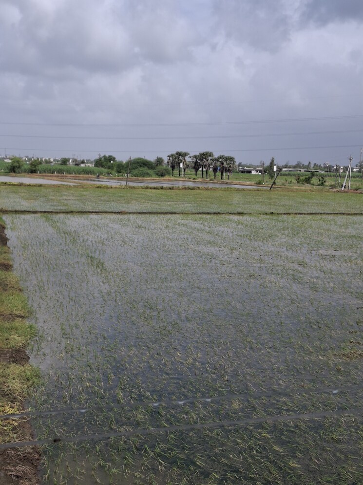 Swimming Pool, parley point  2000 Sq.Yd. Plot In Parley Point Surat 9348568