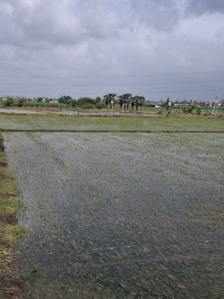 Swimming Pool, parley point  2000 Sq.Yd. Plot In Parley Point Surat 9348568