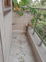 1 BHK 50 Sq.Mt. Builder Floor in Rohini Sector 11