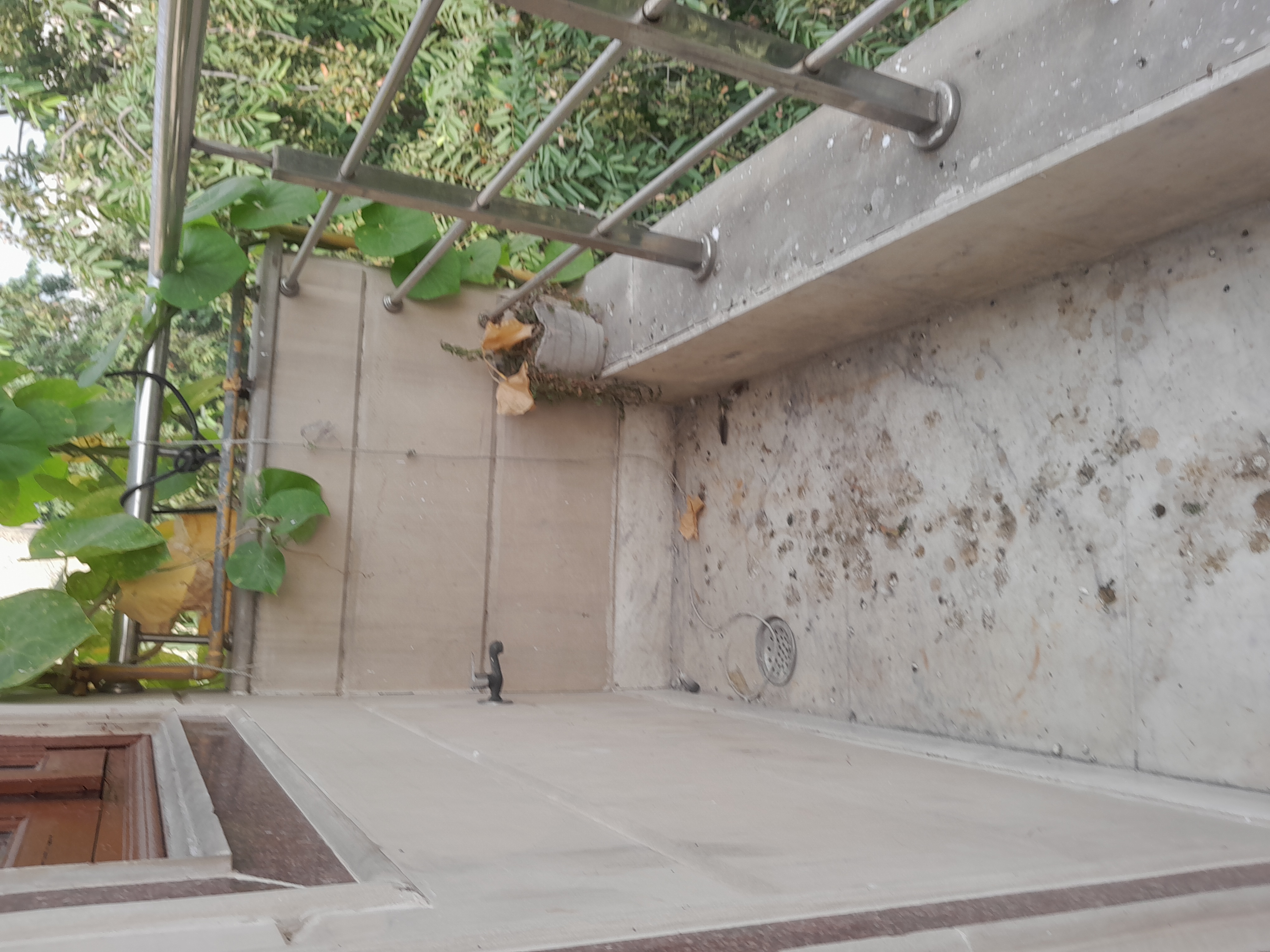 1 BHK Builder Floor For Rent in Rohini Sector 11