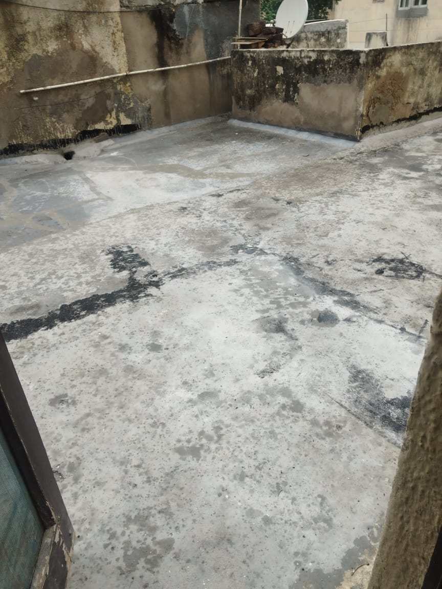 2 BHK + Pooja Room Apartment For Rent in Arun Vihar Sector 37