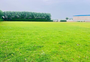 Plot For Sale in Sultanpur Road