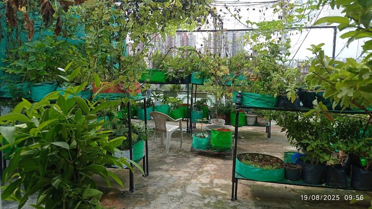 Exterior View, sector 110 3.5 Bedroom 107 Sq.Ft. Independent House In Sector 110 Gurgaon 9348844