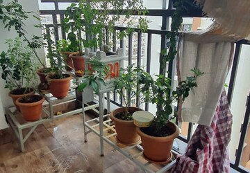 Balcony in 2 BHK Apartment at Aparna Sarovar Zenith, Nallagandla – for Rent