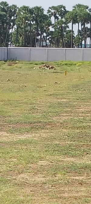  Plot For Sale in Bachupally