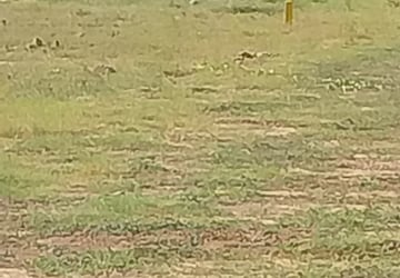 Plot For Sale in Bachupally