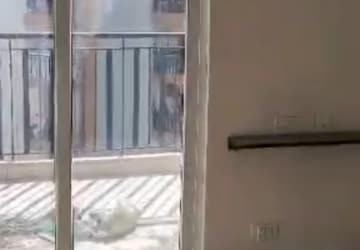 3 BHK Apartment For Rent in Gaur City 4th Avenue, Sector 4 Greater Noida