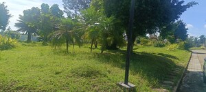  Plot – Exterior View View at Rajanukunte - for Sale