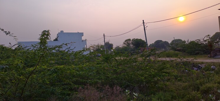 Garden, jagatpura  122 Sq.Yd. Plot In Jagatpura Jaipur 9349519