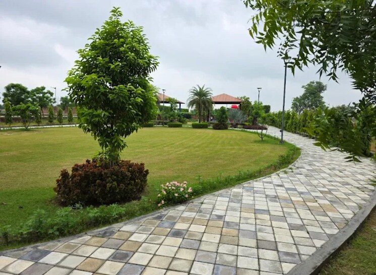 Garden, rambha-corona-greens  141 Sq.Yd. Plot In Sohna Sector 5 Gurgaon 9349692