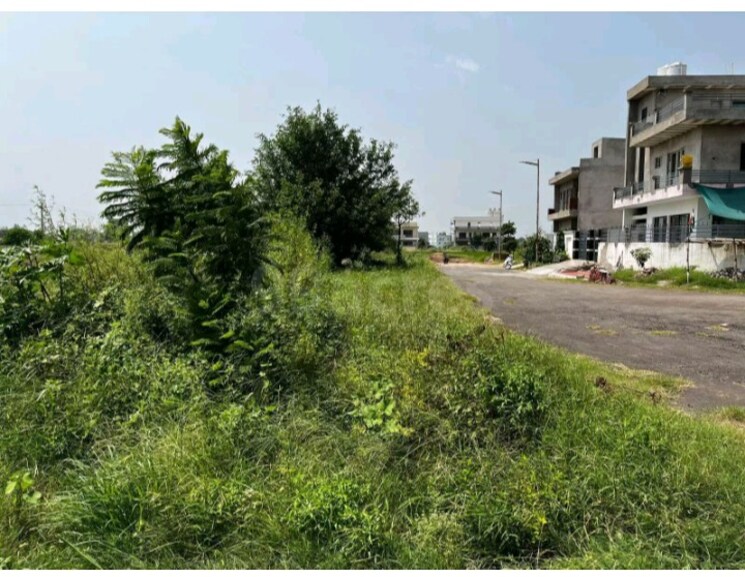 Garden, tdi-wellington-heights  1530 Sq.Yd. Plot In Mohali Sector 117 Chandigarh 9349717