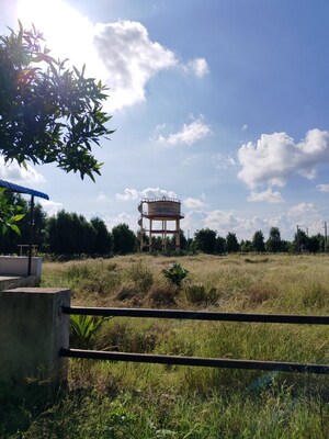  Plot For Sale in Pharma Green City, Yacharam