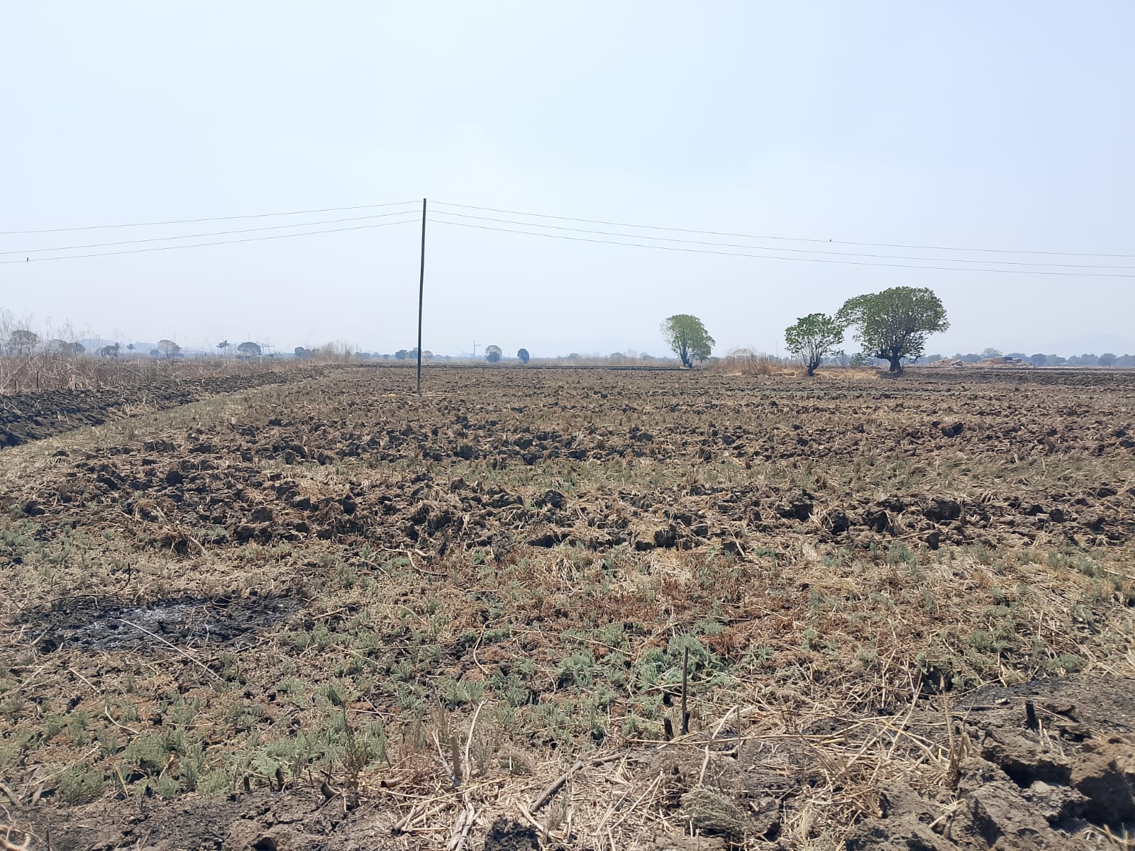 Plot For Sale in Investment Plot 