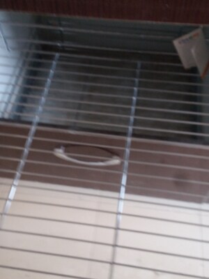 Staircase in 2 BHK Apartment at Amrapali Zodiac, Sector 120 – for Sale