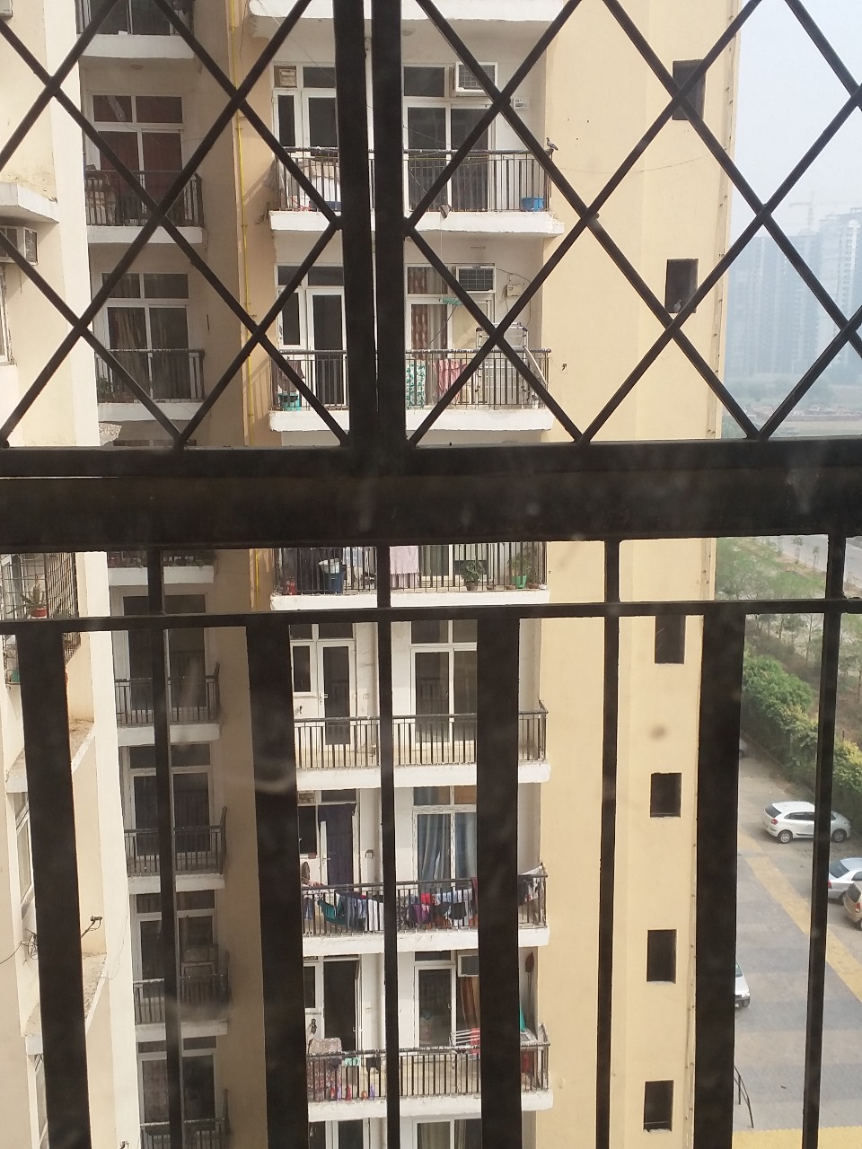 2 BHK + Servant Room Apartment For Sale in Amrapali Zodiac