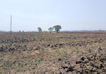 Plot For Sale in Dronagiri