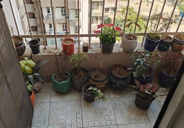 Balcony in 3 BHK Apartment at Amrapali Zodiac, Sector 120 – for Sale