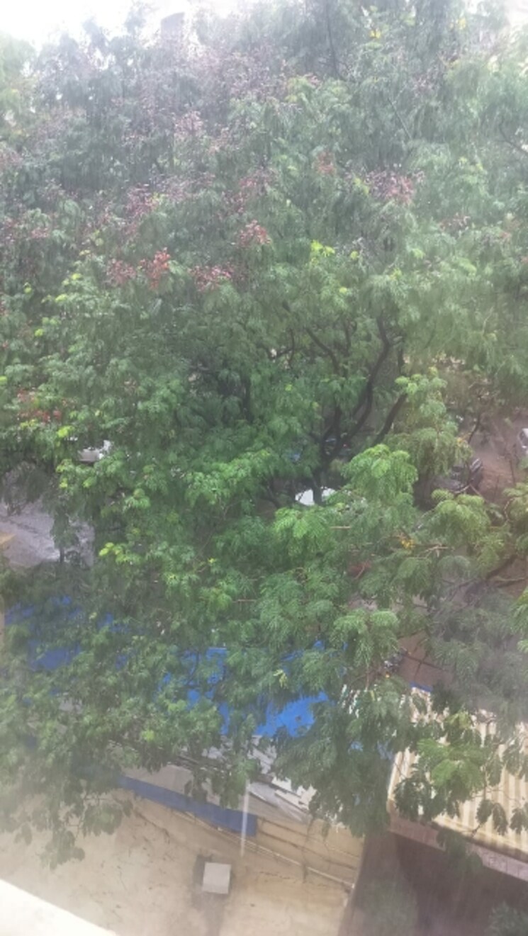 Garden, hiranandani-gardens-cypress 1 Bedroom 550 Sq.Ft. Apartment In Powai Mumbai 9349893