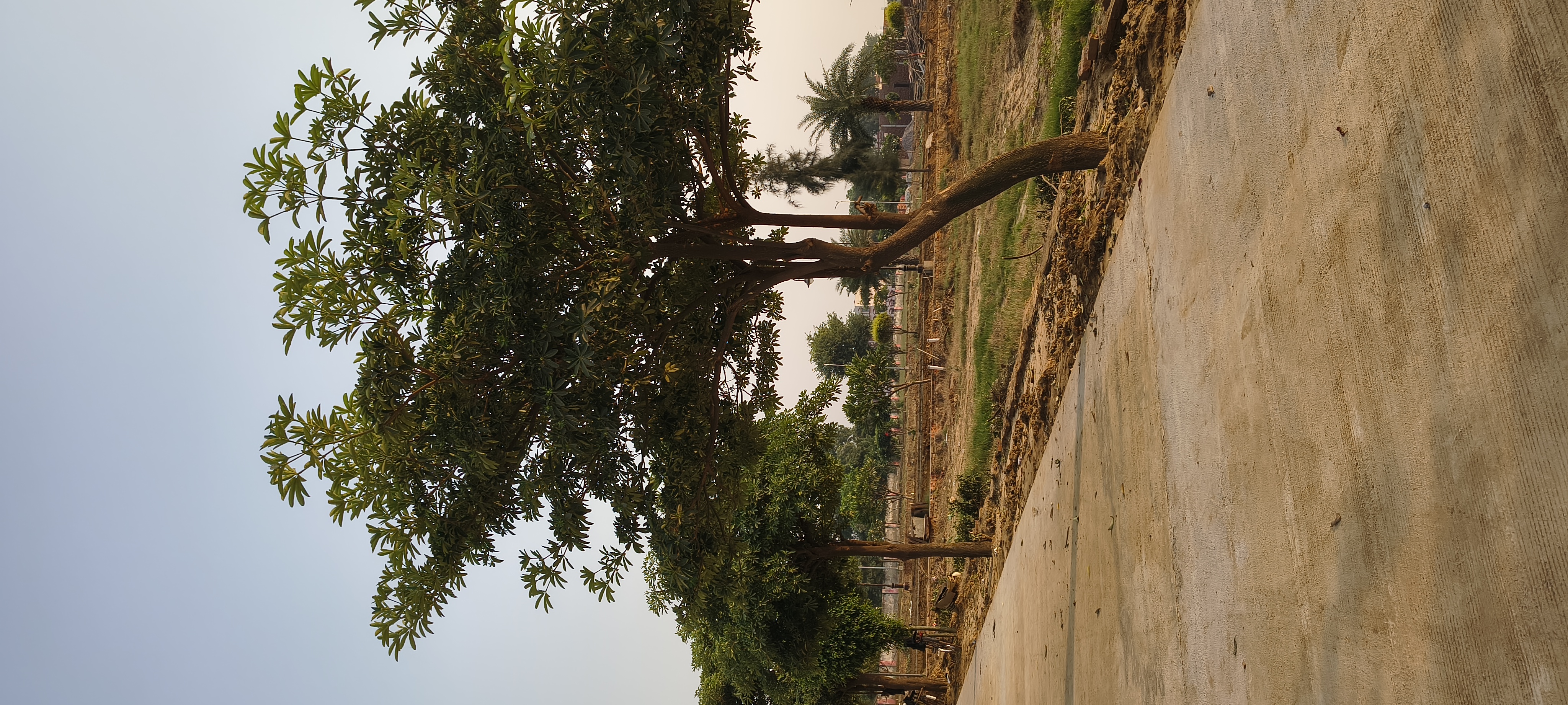 Plot For Sale in Golden City Ada Approve 