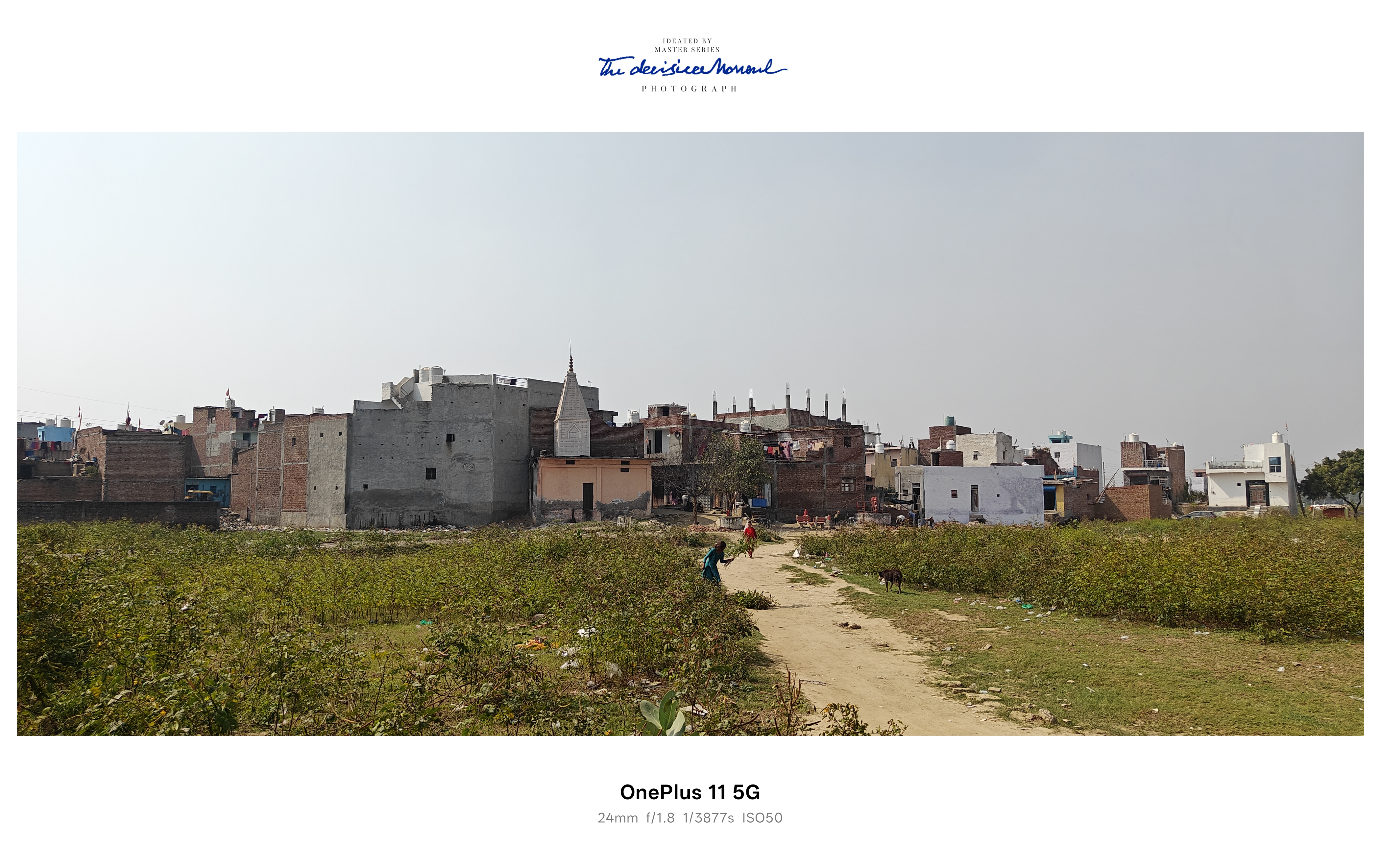 Plot For Sale in Sector 25