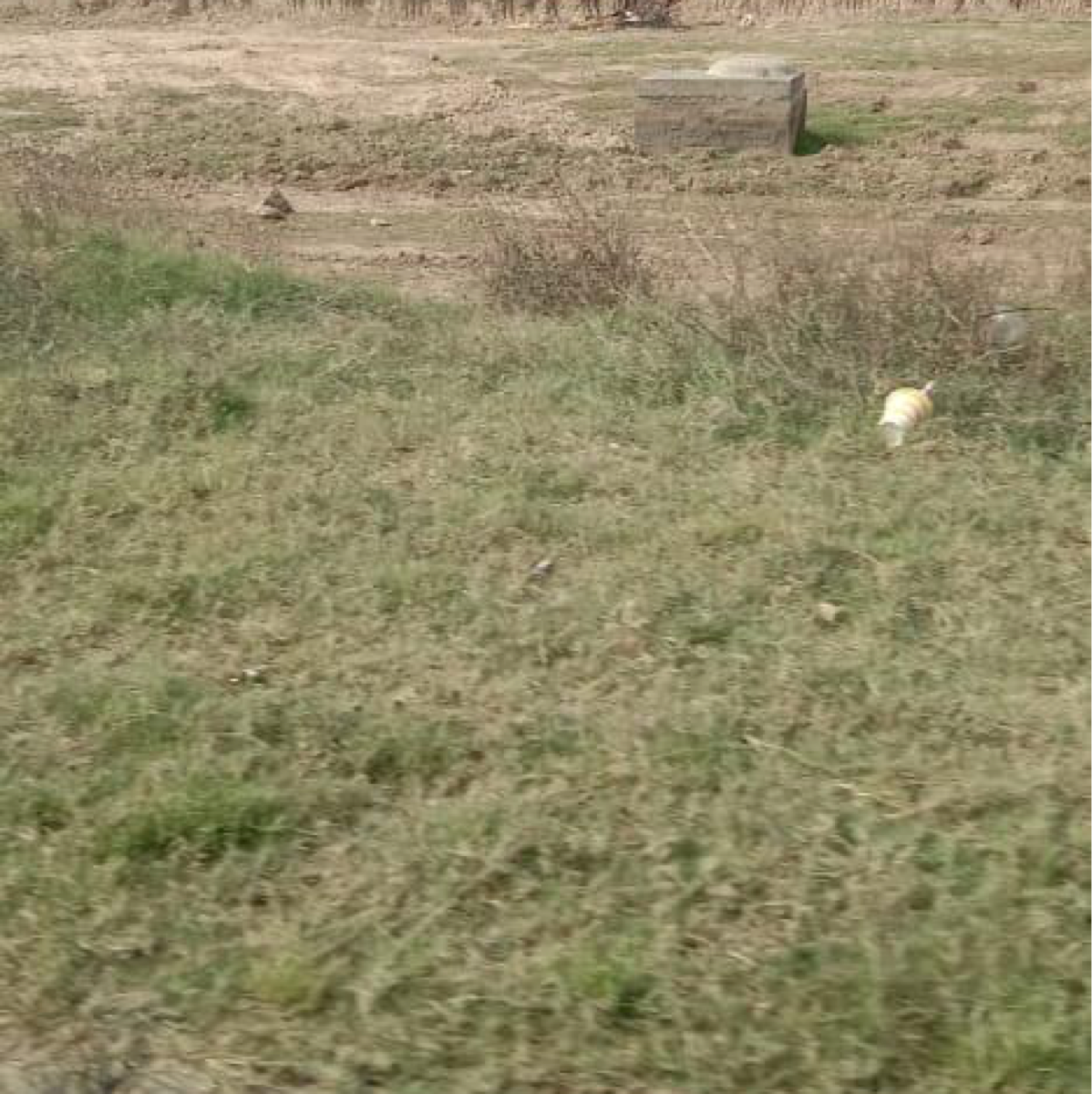 Plot For Sale in Daksh Real Estate 