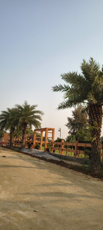  Plot – Exterior View View at Sujanpur - for Sale