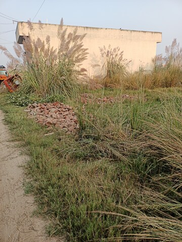  Plot For Sale in Sector 9