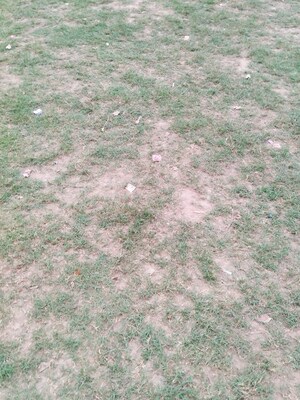  Land For Rent in Sampatchak